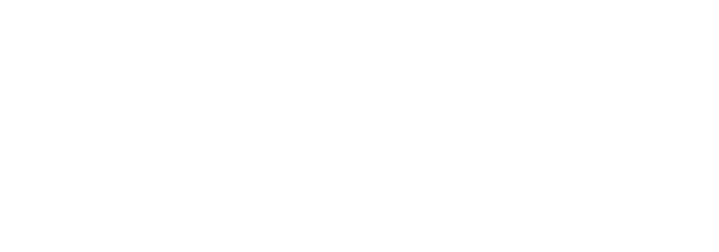 BN Crop Logo